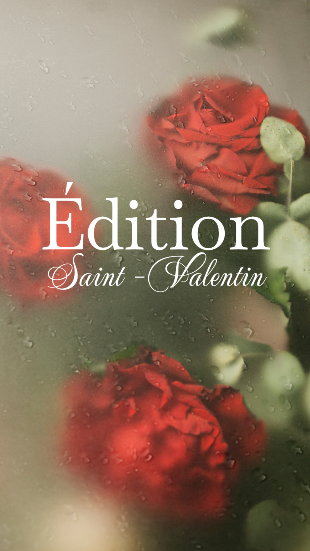 Saint Valentin Nuit Signature